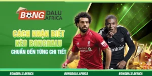 Cách Nhận Biết Kèo Bongdalu – Chuẩn Đến Từng Chi Tiết