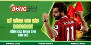 Kỹ Năng Soi Kèo Bongdalu - Đỉnh Cao Dành Cho Tân Thủ