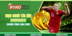 Mẹo Chơi Tài Xỉu Bongdalu – Chuẩn Từng Ván Cược