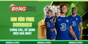 Soi Kèo Free Bongdalu – Chính Xác, Dễ Dàng, Hiệu Quả Nhất