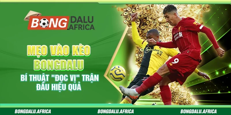 Mẹo vào kèo Bongdalu – Bí thuật “đọc vị” trận đấu hiệu quả