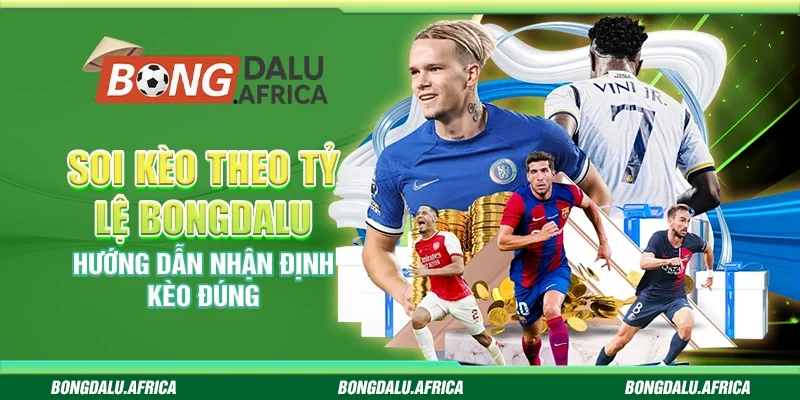 Soi Kèo Theo Tỷ Lệ Bongdalu – Hướng Dẫn Nhận Định Kèo Đúng