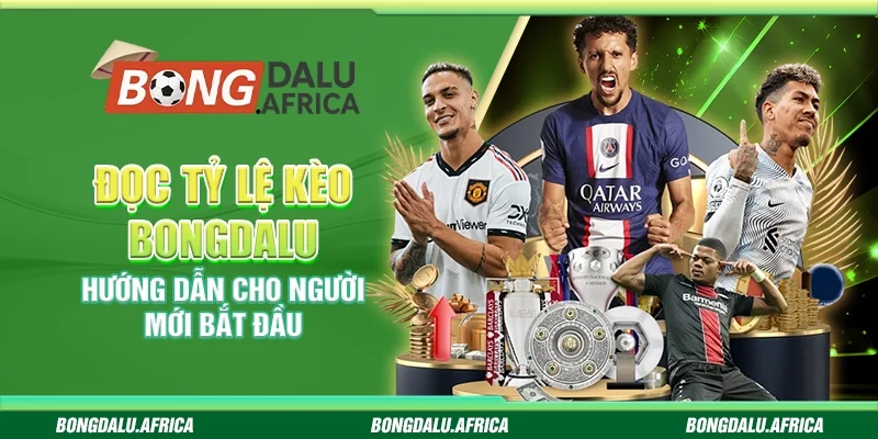 Đọc Tỷ Lệ Kèo Bongdalu – Hướng Dẫn Cho Người Mới Bắt Đầu