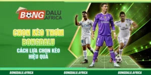 Chọn Kèo Thơm Bongdalu – Cách Lựa Chọn Kèo Hiệu Quả 
