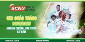 Kèo Chắc Thắng Bongdalu – Những Chiến Lược Cược Cơ Bản