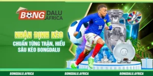 Nhận Định Kèo Bongdalu – Chuẩn Từng Trận, Hiểu Sâu Kèo 