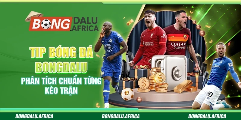 Tip Bóng Đá Bongdalu – Phân Tích Chuẩn Từng Kèo Trận