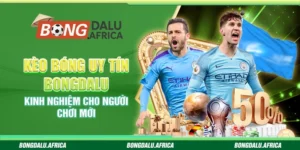 Kèo Bóng Uy Tín Bongdalu – Kinh Nghiệm Cho Người Chơi Mới