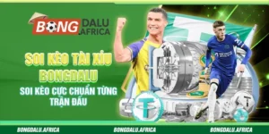 Soi Kèo Tài Xỉu Bongdalu – Soi Kèo Cực Chuẩn Từng Trận Đấu