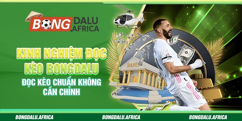 Kinh Nghiệm Đọc Kèo Bongdalu – Đọc Kèo Chuẩn Không Cần Chỉnh