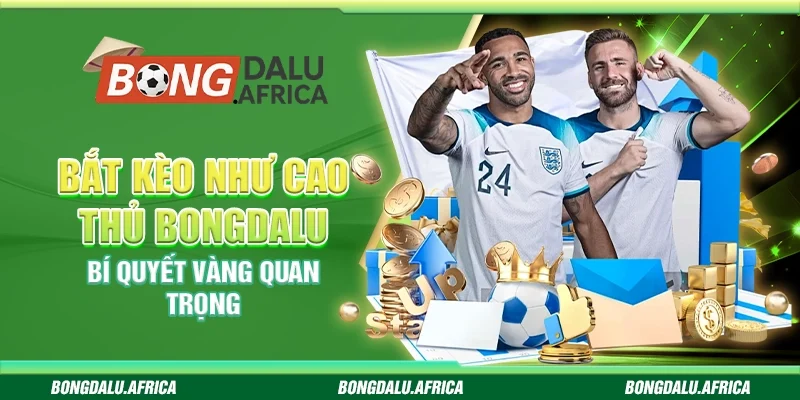 Bắt Kèo Như Cao Thủ Bongdalu – Bí Quyết Vàng Quan Trọng