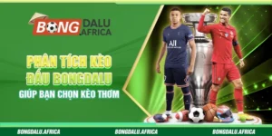 Phân Tích Kèo Đấu Bongdalu – Giúp Bạn Chọn Kèo Thơm