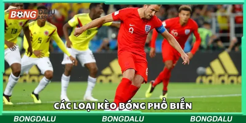 Các loại kèo bóng đá phổ biến