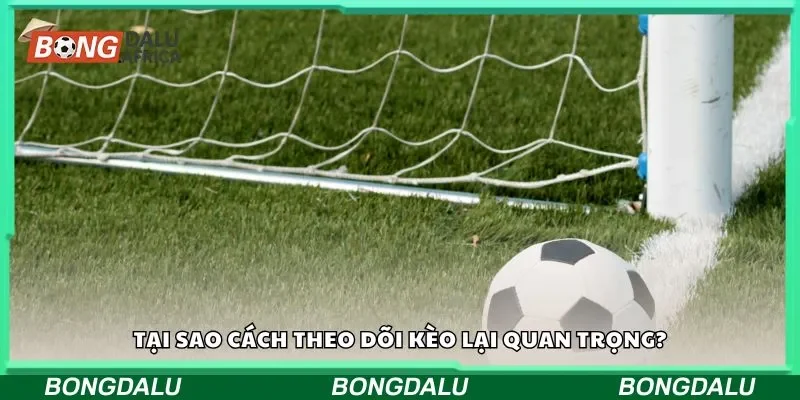 Tại sao cách theo dõi kèo lại quan trọng?