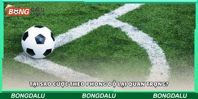 Tại sao cược theo phong độ lại quan trọng?
