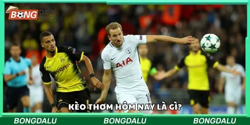 Tìm hiểu về kèo thơm