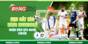Mẹo Bắt Kèo Sáng Bongdalu – Nhận Diện Kèo Ngon Chuẩn 