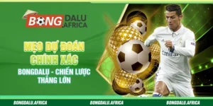 Mẹo Dự Đoán Chính Xác Bongdalu - Chiến Lược Thắng Lớn