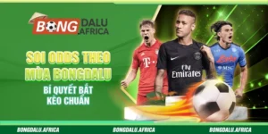 Soi Odds Theo Mùa Bongdalu – Bí Quyết Bắt Kèo Chuẩn