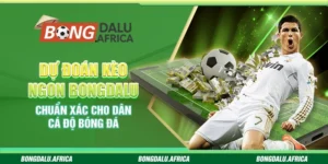 Dự Đoán Kèo Ngon Bongdalu – Chuẩn Xác Cho Dân Cá Độ Bóng Đá