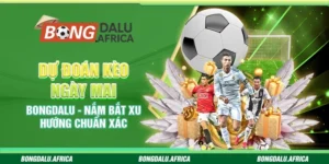 Dự Đoán Kèo Ngày Mai Bongdalu – Nắm Bắt Xu Hướng Chuẩn Xác 