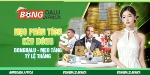 Mẹo phân tích kèo bóng Bongdalu – Mẹo tăng tỷ lệ thắng 