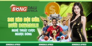 Soi Kèo Đội Cửa Dưới Bongdalu – Chiến Lược Cá Cược Hiệu Quả 