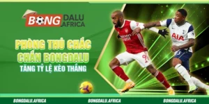 Phòng Thủ Chắc Chắn Bongdalu – Tăng Tỷ Lệ Kèo Thắng