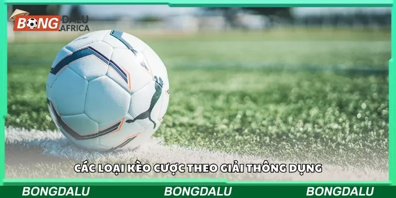 Các loại kèo cược theo giải thông dụng