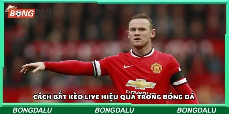 Cách bắt kèo live siêu hiệu quả