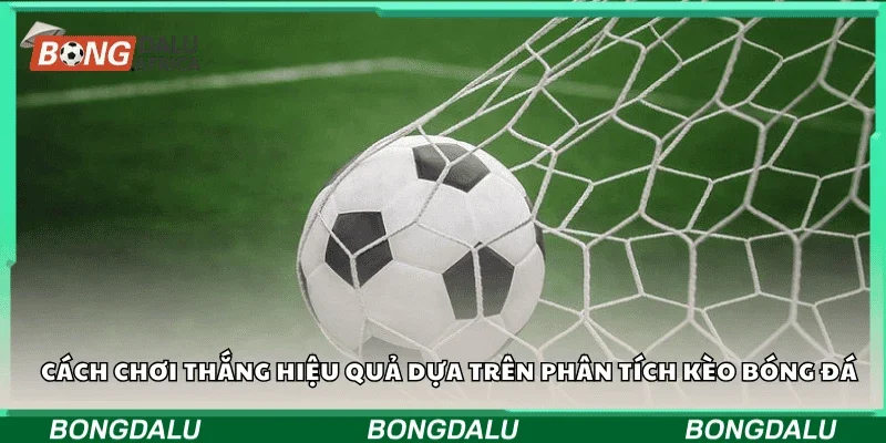 Cách chơi thắng hiệu quả dựa trên phân tích kèo bóng đá