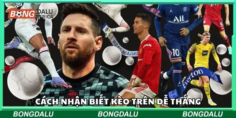 Cách nhận biết kèo trên