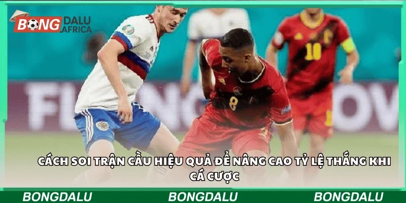 Cách soi trận cầu hiệu quả để nâng cao tỷ lệ thắng khi cá cược