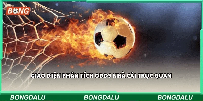 Giao diện phân tích odds nhà cái trực quan