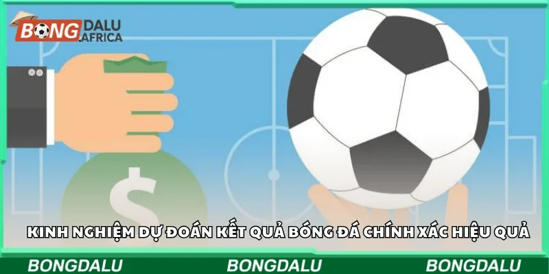Kinh nghiệm dự đoán kết quả bóng đá chính xác hiệu quả
