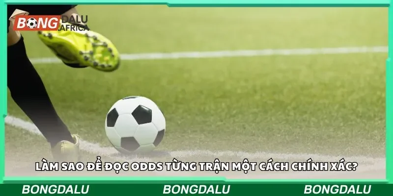 Làm sao để đọc odds từng trận một cách chính xác