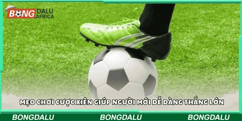 Mẹo chơi cược xiên giúp người mới dễ dàng thắng lớn