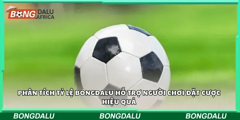Phân tích tỷ lệ Bongdalu hỗ trợ người chơi đặt cược hiệu quả