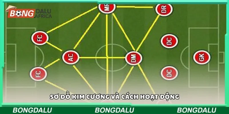 Sơ đồ kim cương và cách hoạt động