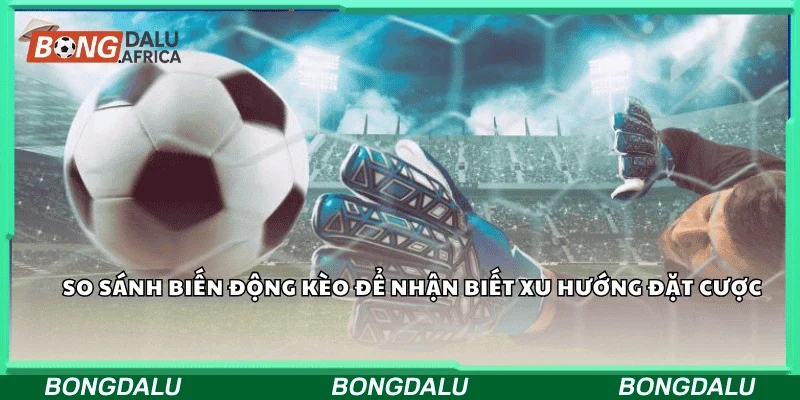 So sánh biến động kèo để nhận biết xu hướng đặt cược.