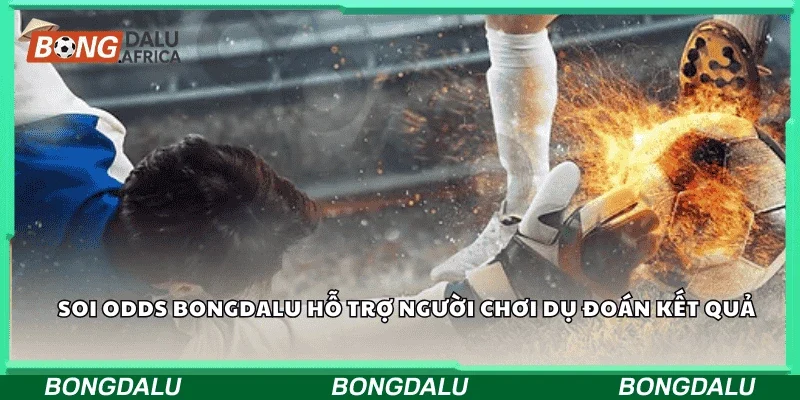 Soi odds Bongdalu hỗ trợ người chơi dự đoán kết quả.