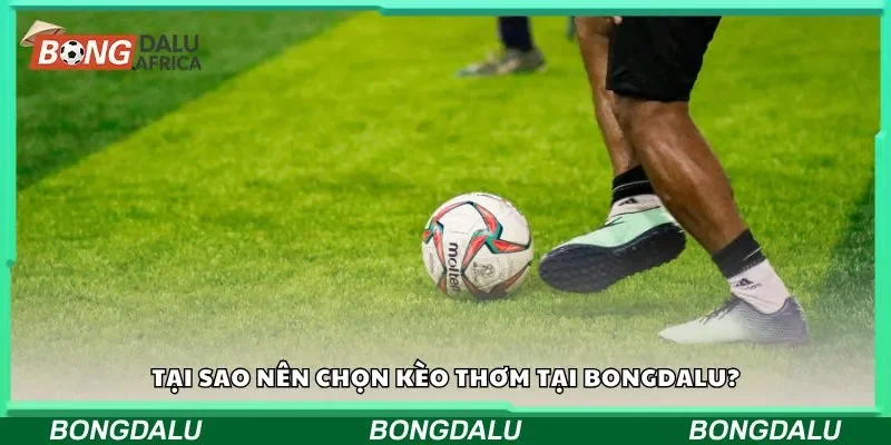 Tại sao nên chọn kèo thơm tại Bongdalu?