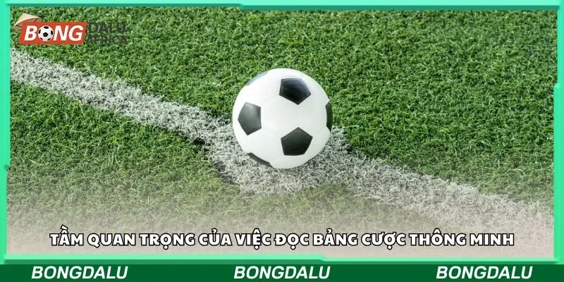 Tầm quan trọng của việc đọc bảng cược thông minh