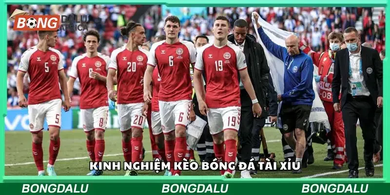 Tìm hiểu kinh nghiệm tài xỉu cực hiệu quả