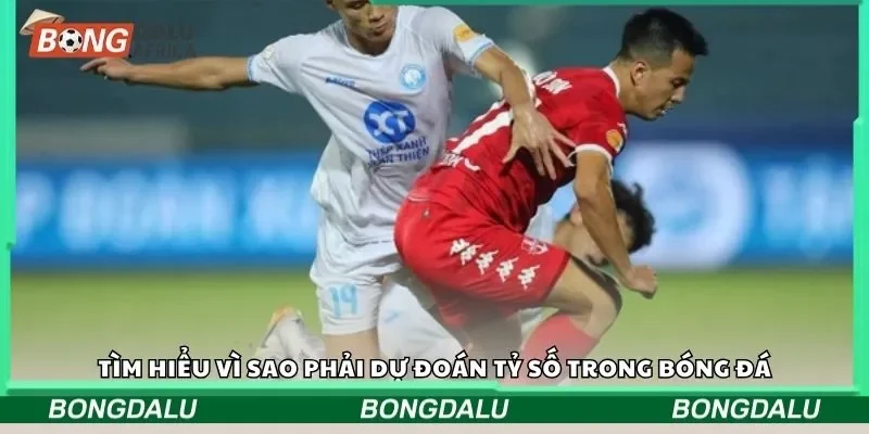 Tìm hiểu vì sao phải dự đoán tỷ số trong bóng đá