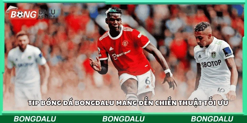 Tip bóng đá Bongdalu mang đến chiến thuật tối ưu