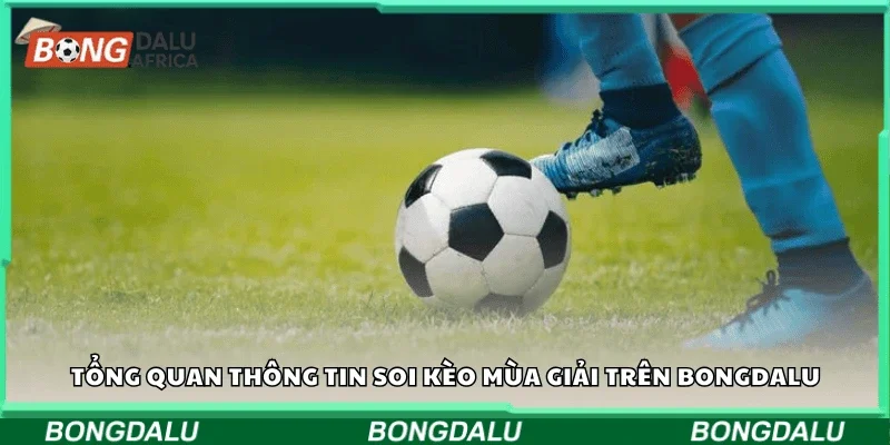 Tổng quan thông tin soi kèo mùa giải trên Bongdalu