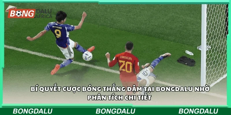 Bí quyết cược bóng thắng đậm tại Bongdalu nhờ phân tích chi tiết