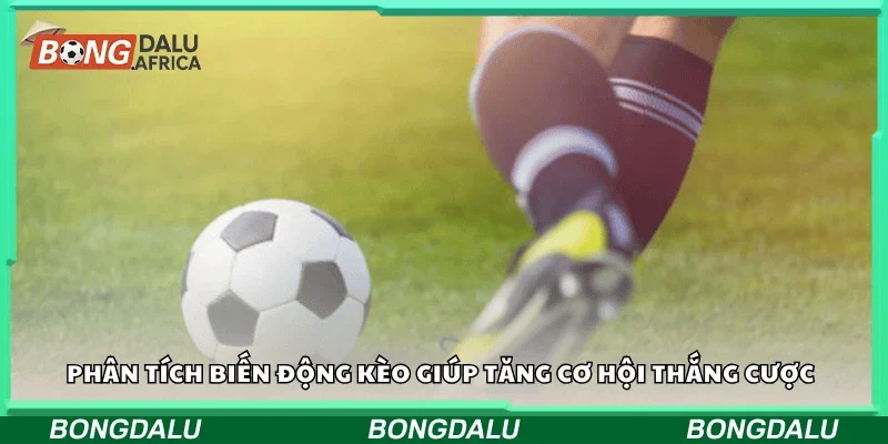 Phân tích biến động kèo giúp tăng cơ hội thắng cược