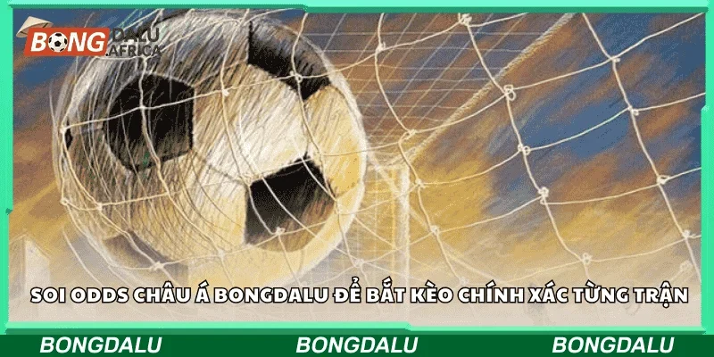 Soi odds châu Á Bongdalu để bắt kèo chính xác từng trận